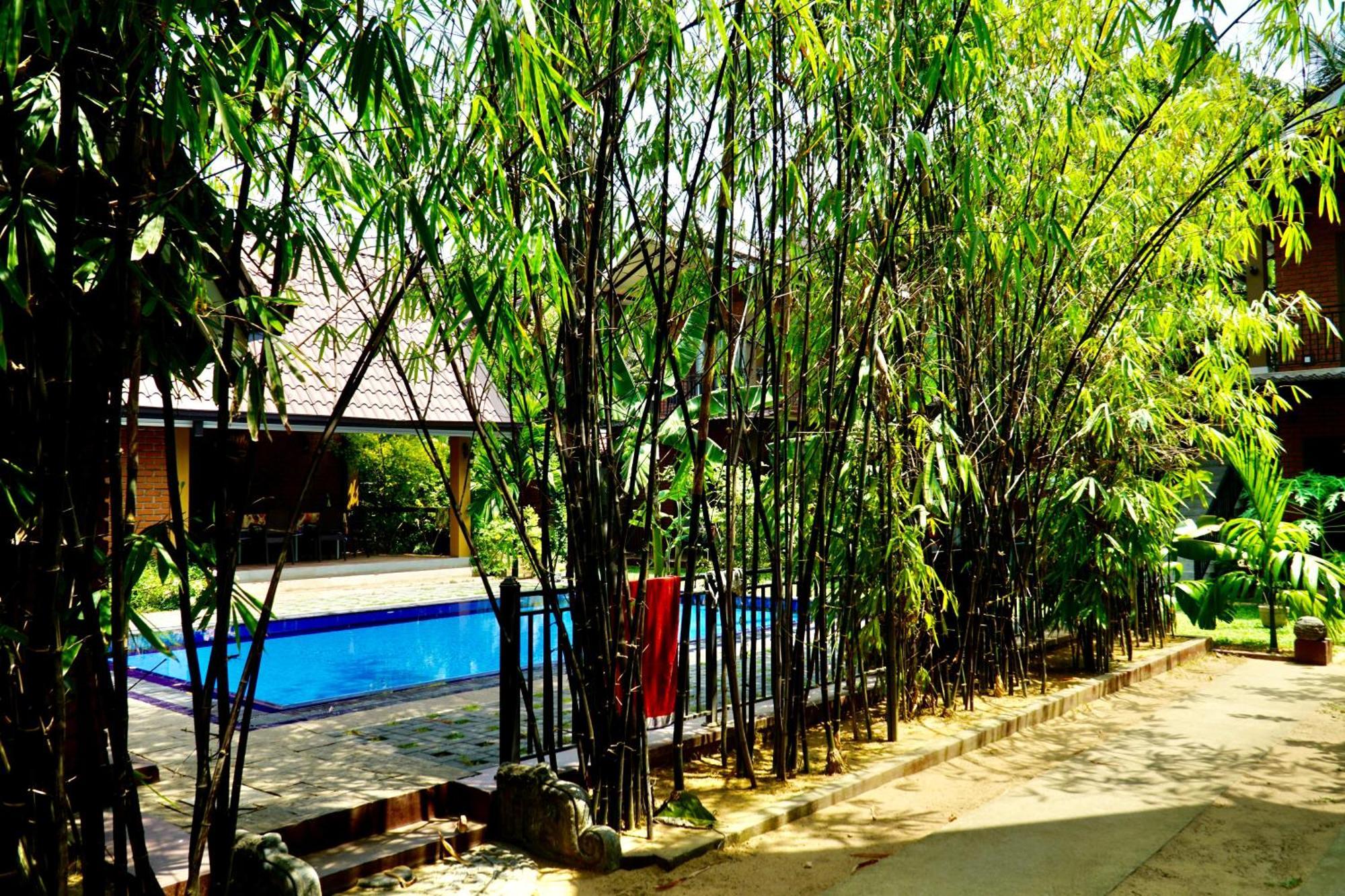 Millet'S Food Company And Cooking Center Hotel Negombo Exterior photo