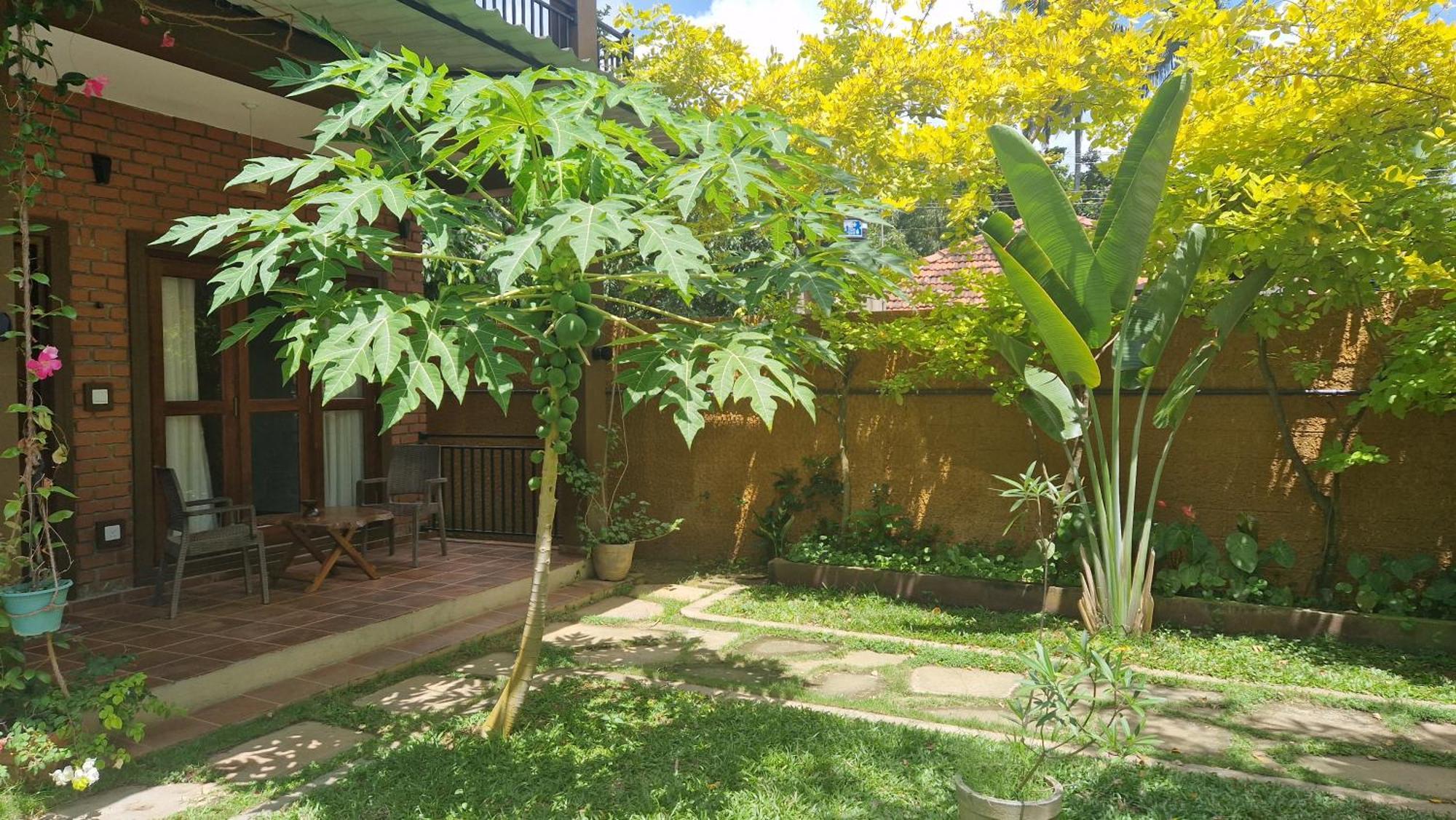 Millet'S Food Company And Cooking Center Hotel Negombo Exterior photo